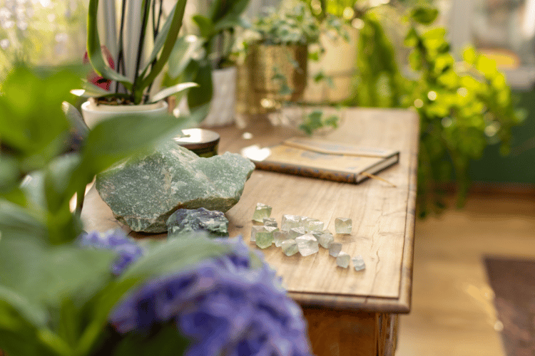 korzysci wspolpracy pani od dobrostanu